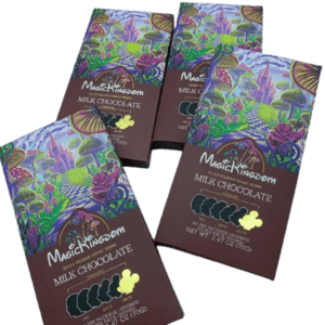 Magic Kingdom Chocolate Bar